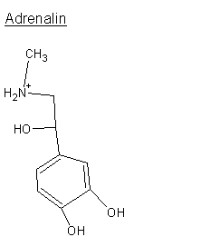 Adrenalin