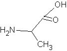 Alanin