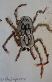 Winkelspinne